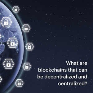 What are blockchains that can be decentralized and centralized